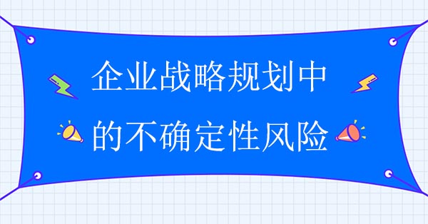 戰(zhàn)略管理咨詢公司：企業(yè)戰(zhàn)略規(guī)劃中的不確定性風(fēng)險